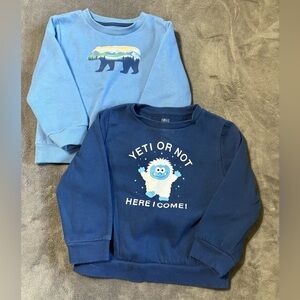 Falls Creek Graphic Sweatshirts